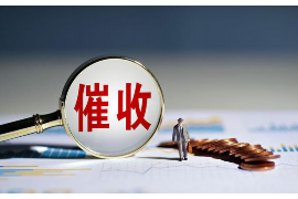 信阳债务清欠服务